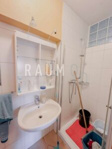 Badezimmer EG (derzeit Büro)