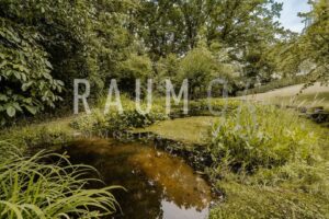 Gartenteich