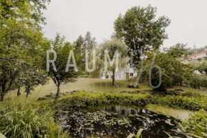 Garten mit Teich