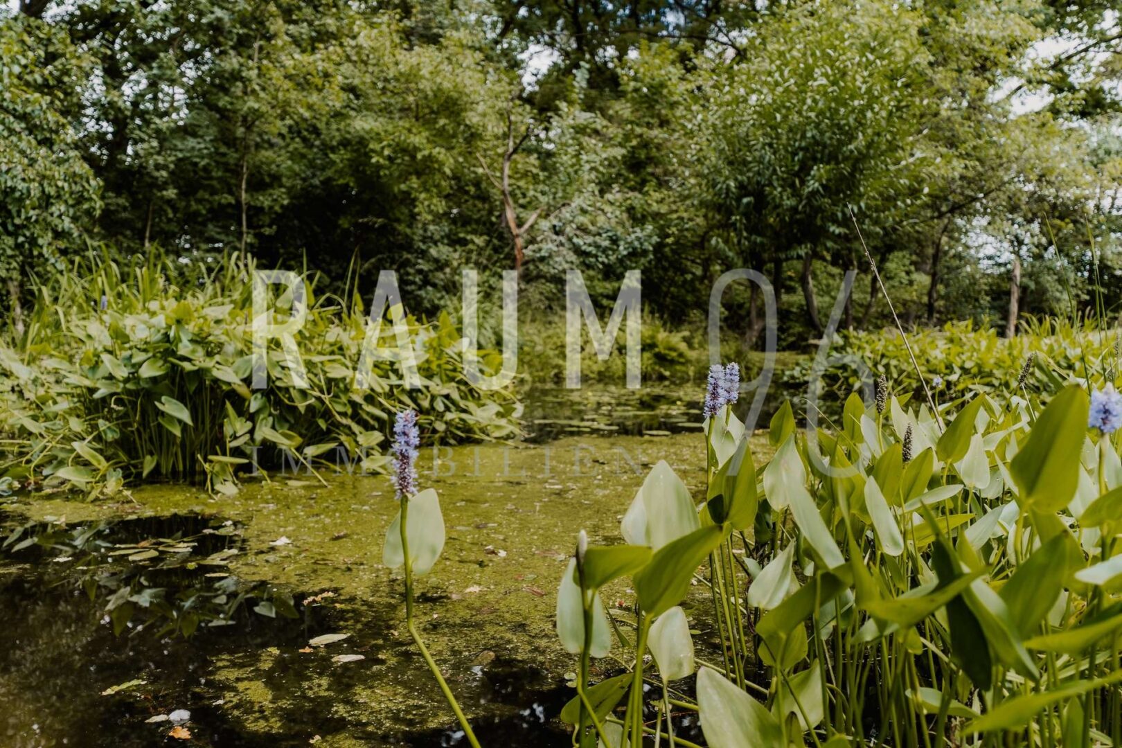 Gartenteich