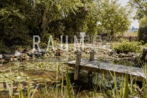 Garten mit Teich